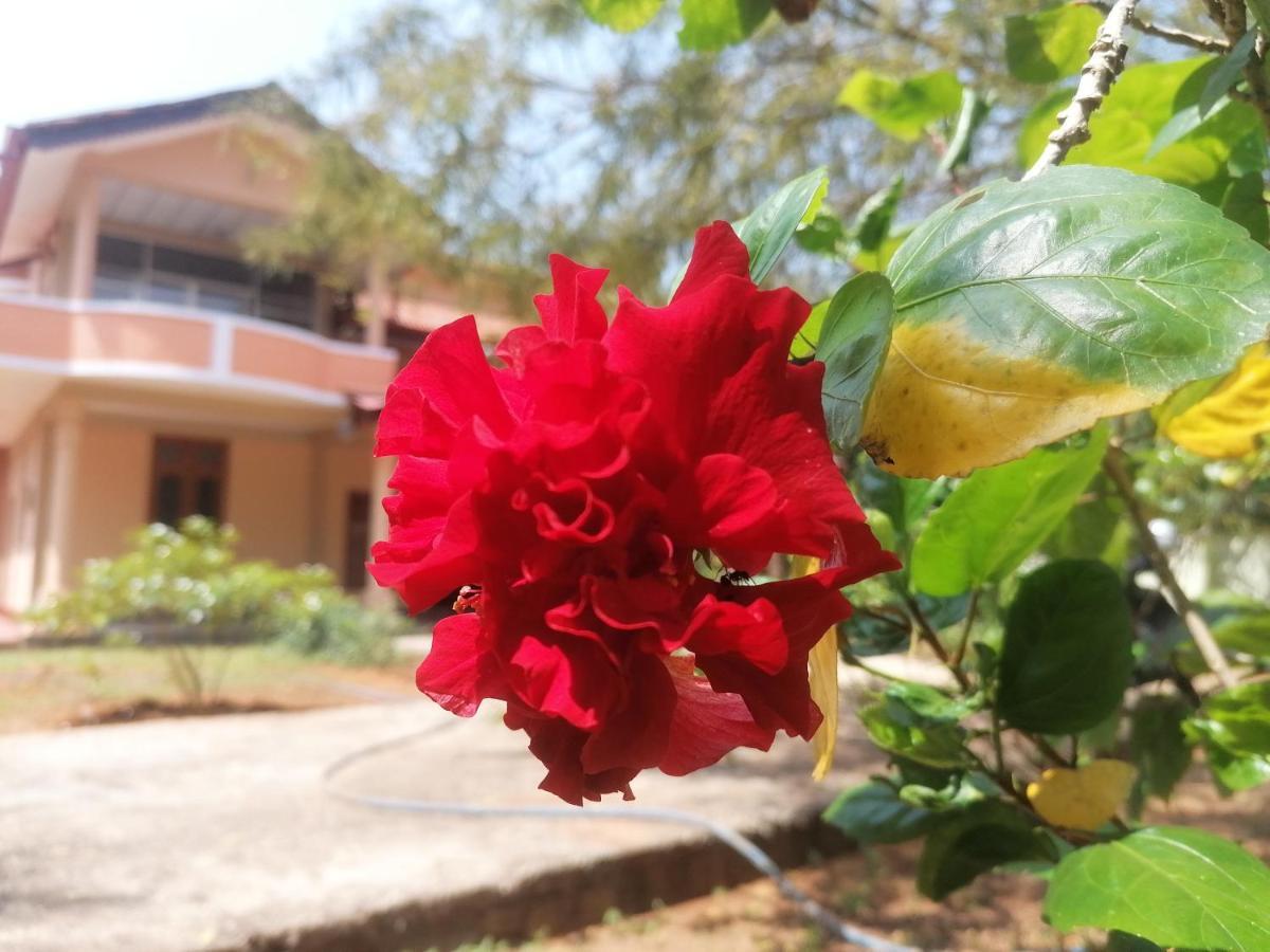 Ashoka Villa Jaffna Eksteriør billede